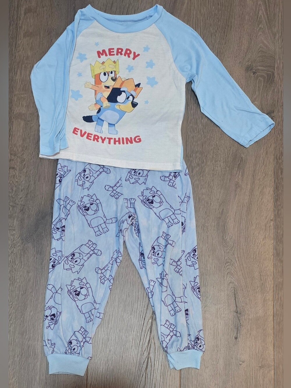 Bluey Merry Everything Boy/Girl Pajama Set Size 4 Bluey Bingo